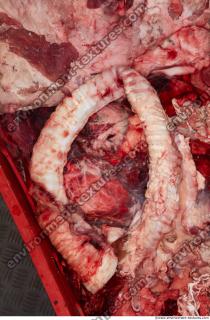 RAW meat pork viscera 0079